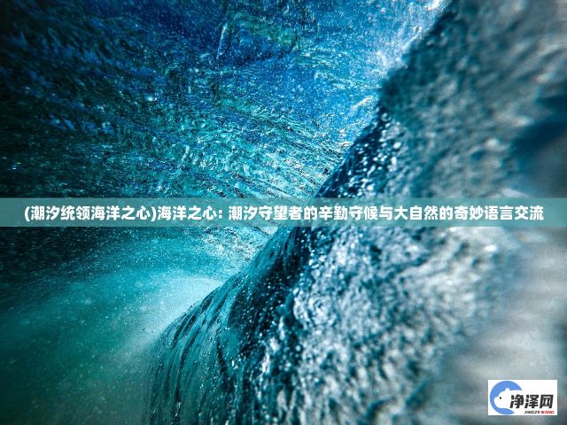 (潮汐统领海洋之心)海洋之心: 潮汐守望者的辛勤守候与大自然的奇妙语言交流